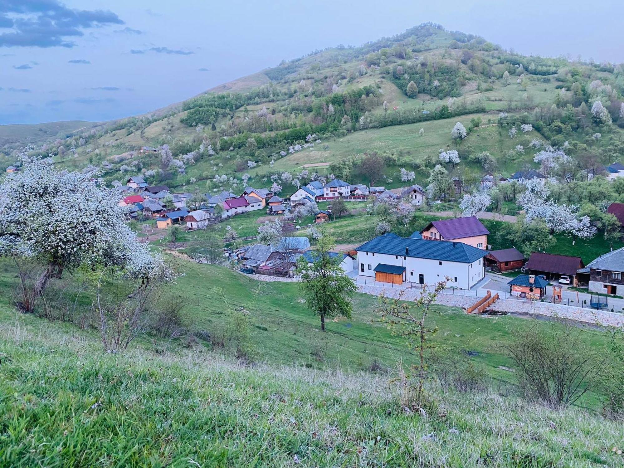 Pensiunea Suci Botiza 外观 照片